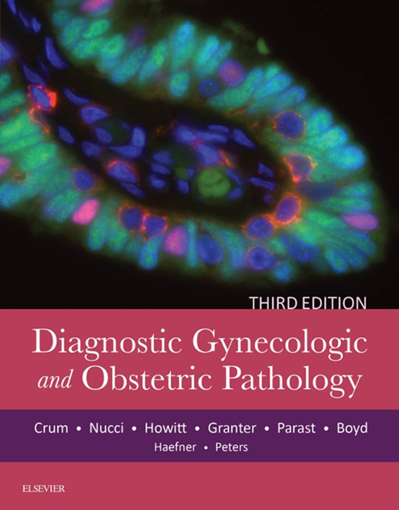 Diagnostic Gynecologic and Obstetric Pathology E-Book 3rd Edition