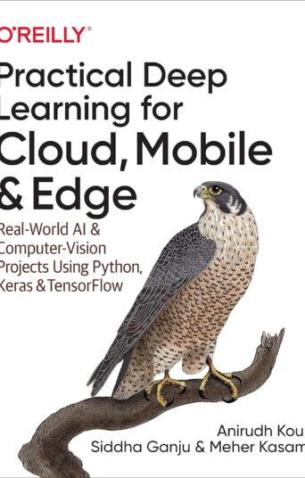 Practical Deep Learning for Cloud, Mobile, and Edge: