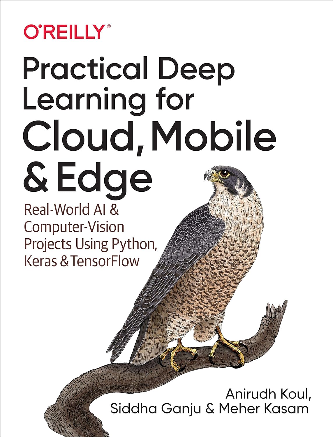 Practical Deep Learning for Cloud, Mobile, and Edge: